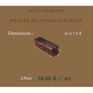 Pièce de rechange naturelle – LILLY CODROIPO | Lot de 2 brosses