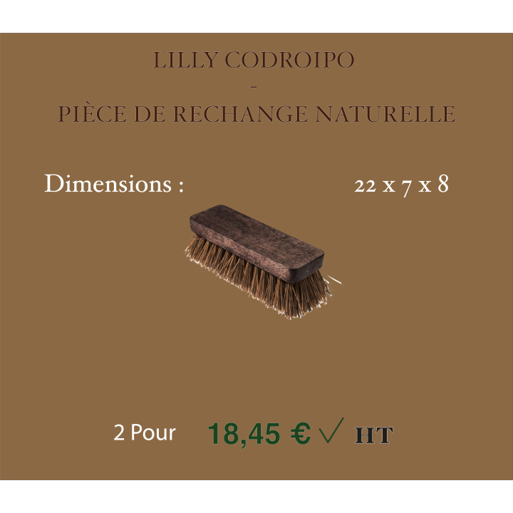 Pièce de rechange naturelle – LILLY CODROIPO | Lot de 2 brosses